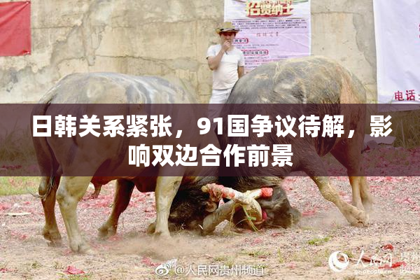 日韩关系紧张，91国争议待解，影响双边合作前景