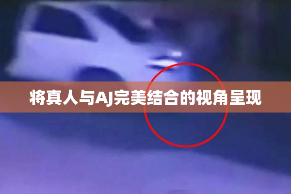将真人与AJ完美结合的视角呈现