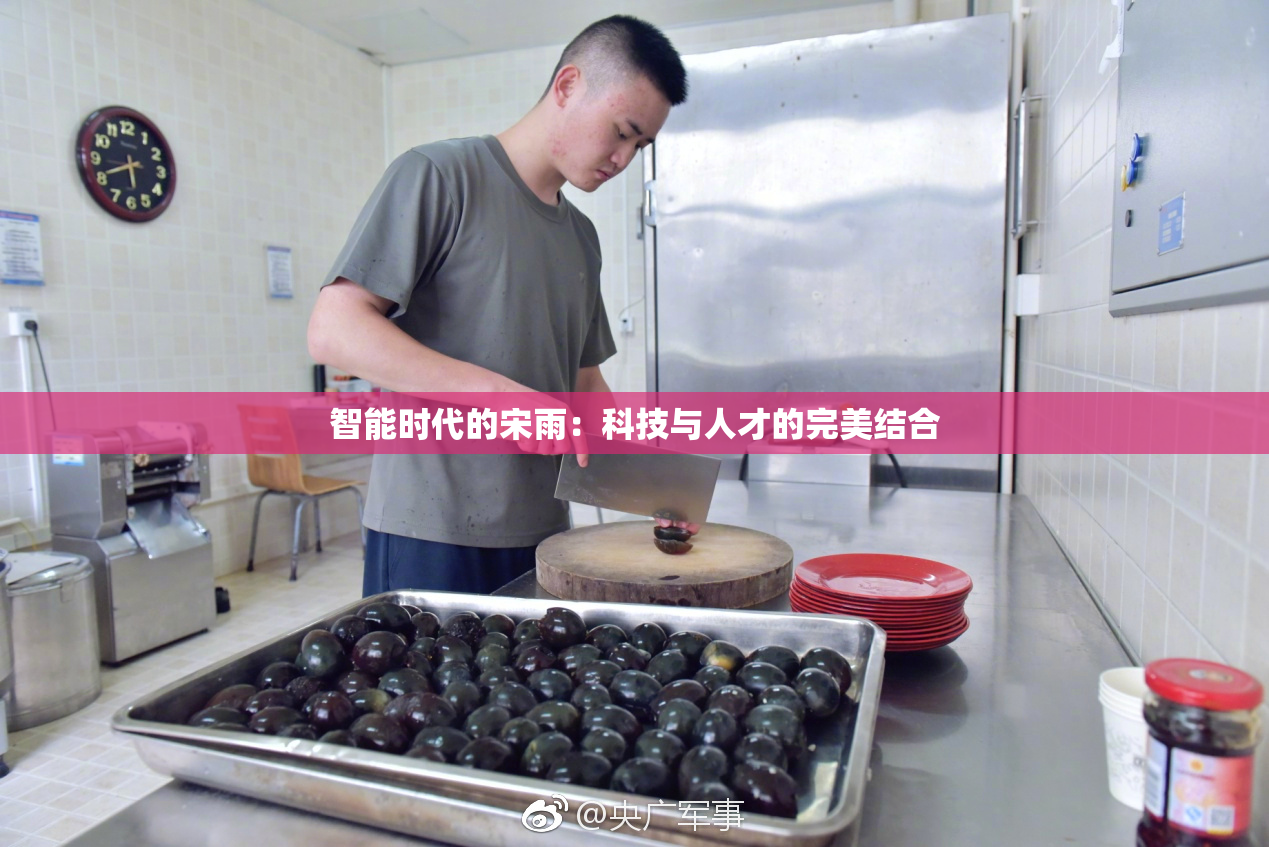 智能时代的宋雨：科技与人才的完美结合