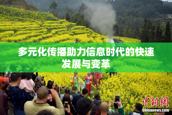 多元化传播助力信息时代的快速发展与变革