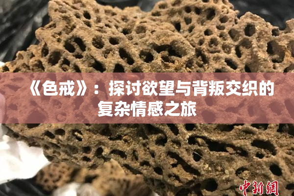 《色戒》：探讨欲望与背叛交织的复杂情感之旅