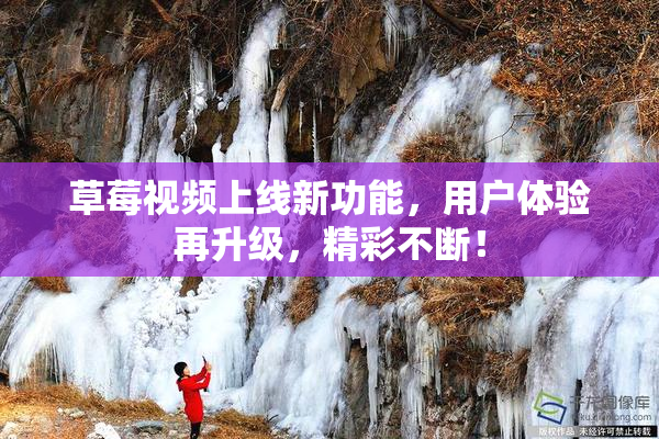 草莓视频上线新功能，用户体验再升级，精彩不断！
