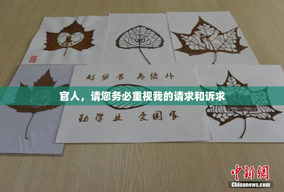 官人，请您务必重视我的请求和诉求