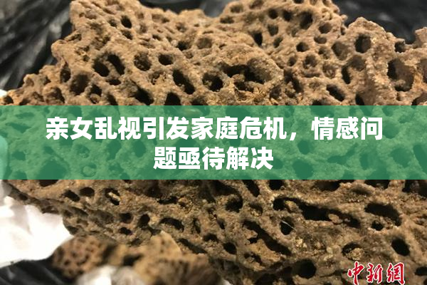 亲女乱视引发家庭危机，情感问题亟待解决