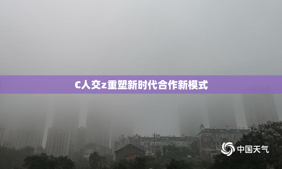 C人交z重塑新时代合作新模式