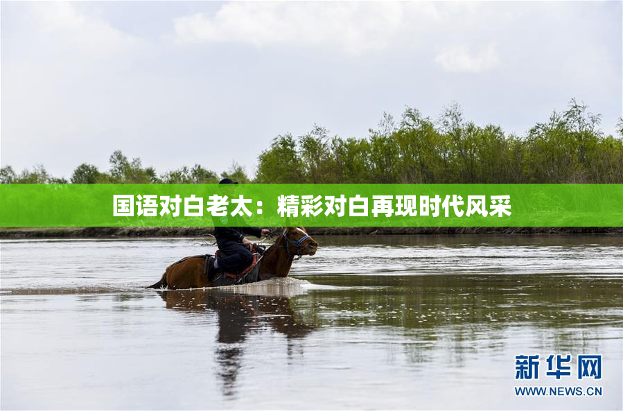 国语对白老太：精彩对白再现时代风采