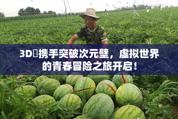3D姉携手突破次元壁，虚拟世界的青春冒险之旅开启！