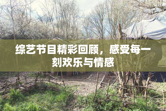 综艺节目精彩回顾，感受每一刻欢乐与情感