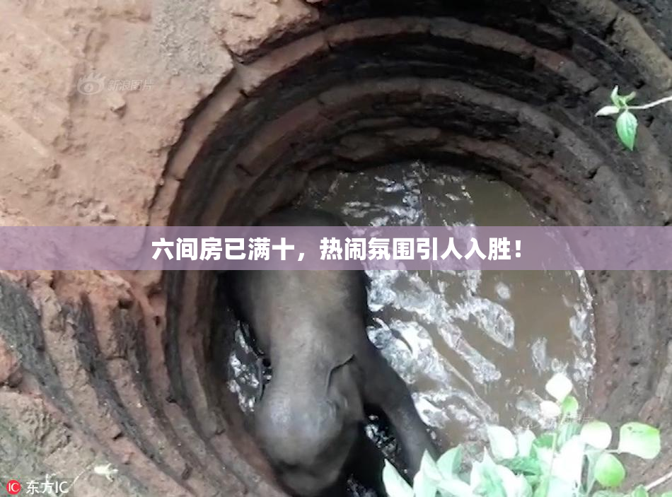 六间房已满十，热闹氛围引人入胜！