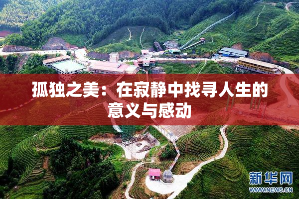 孤独之美：在寂静中找寻人生的意义与感动