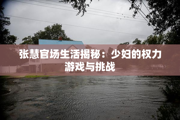 张慧官场生活揭秘：少妇的权力游戏与挑战