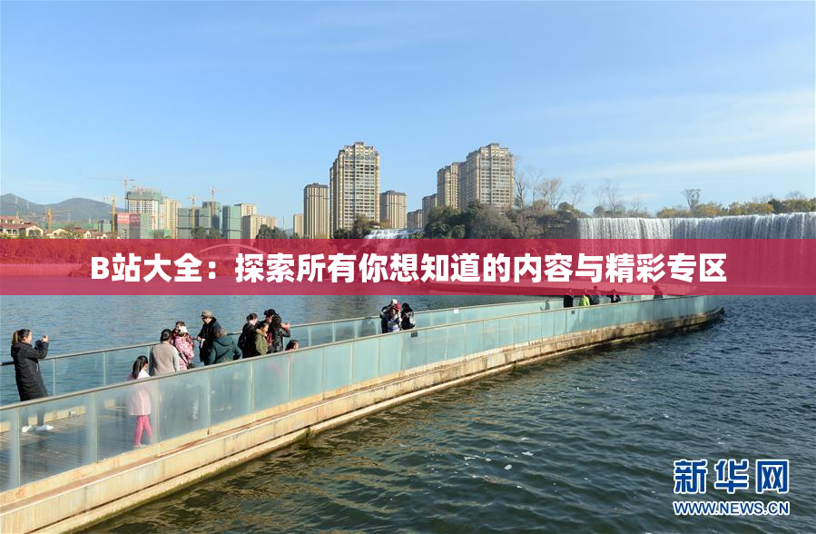 B站大全：探索所有你想知道的内容与精彩专区