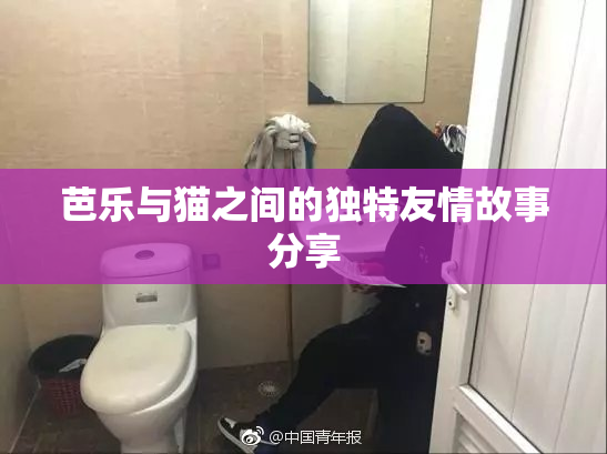 芭乐与猫之间的独特友情故事分享