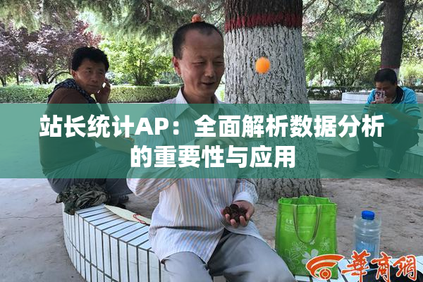 站长统计AP：全面解析数据分析的重要性与应用