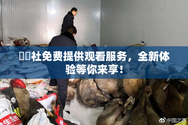 擼擼社免费提供观看服务，全新体验等你来享！