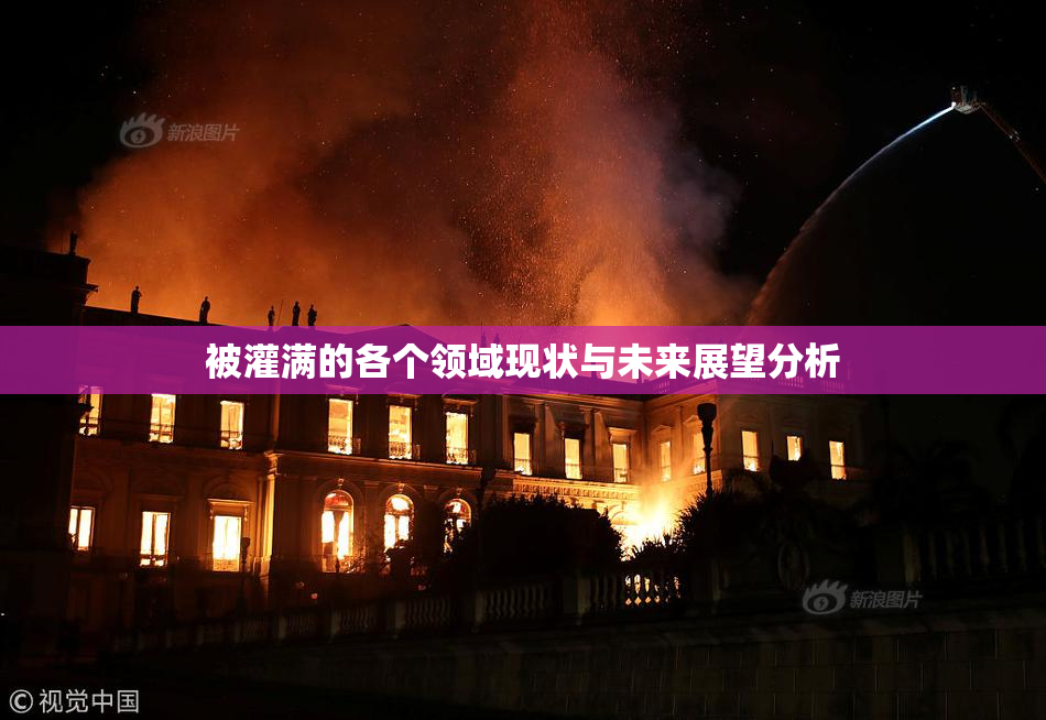 被灌满的各个领域现状与未来展望分析