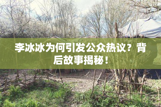 李冰冰为何引发公众热议？背后故事揭秘！
