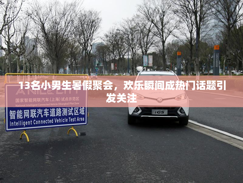13名小男生暑假聚会，欢乐瞬间成热门话题引发关注