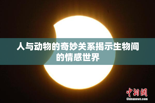 人与动物的奇妙关系揭示生物间的情感世界