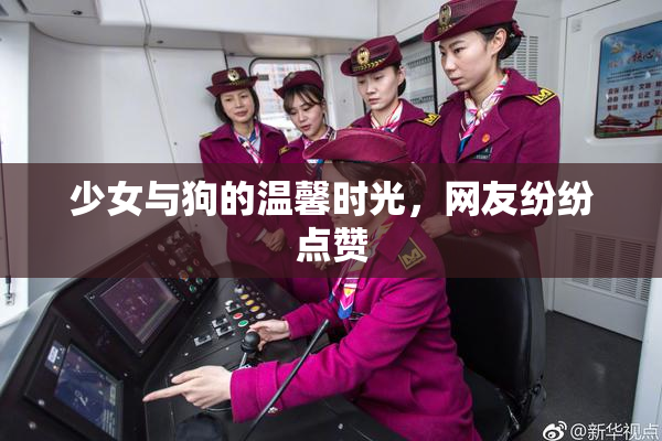 少女与狗的温馨时光，网友纷纷点赞