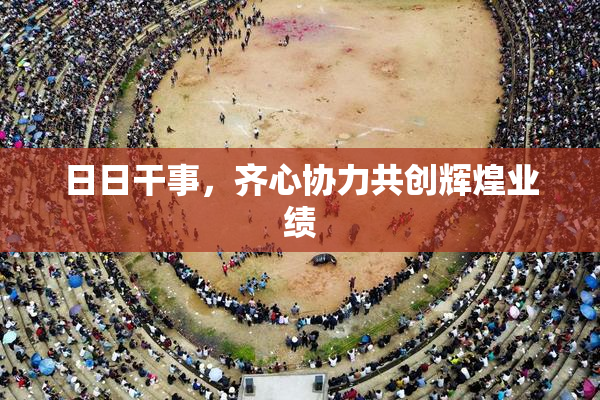 日日干事，齐心协力共创辉煌业绩