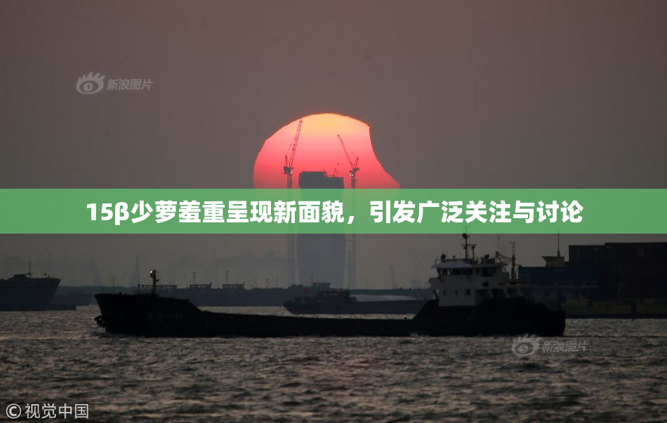 15β少萝羞重呈现新面貌，引发广泛关注与讨论