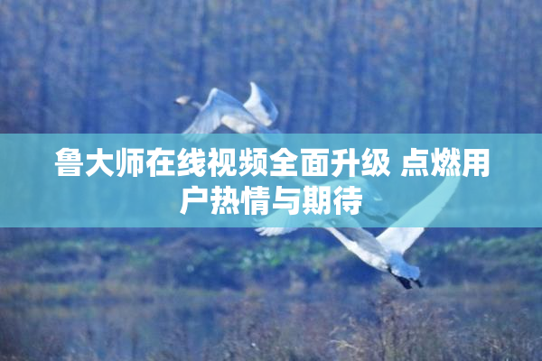 鲁大师在线视频全面升级 点燃用户热情与期待