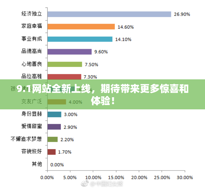 9.1网站全新上线，期待带来更多惊喜和体验！