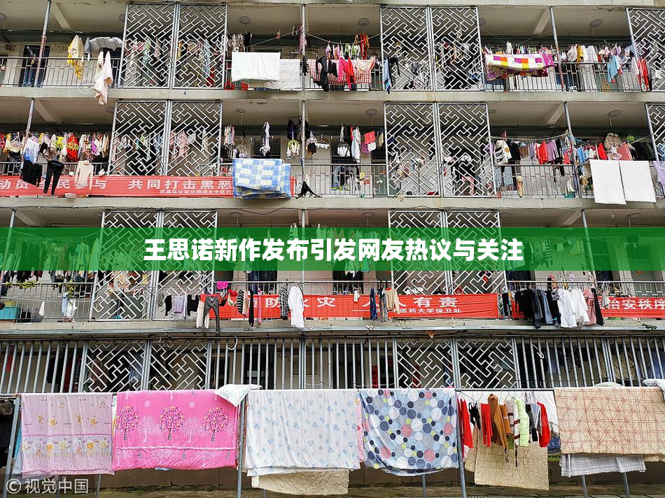 王思诺新作发布引发网友热议与关注