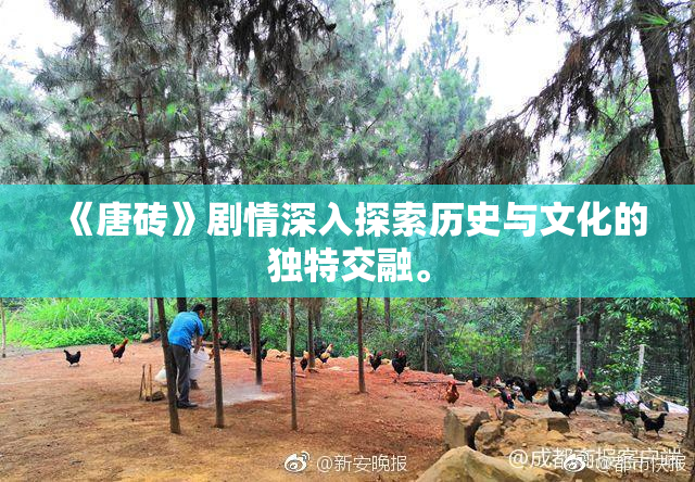 《唐砖》剧情深入探索历史与文化的独特交融。