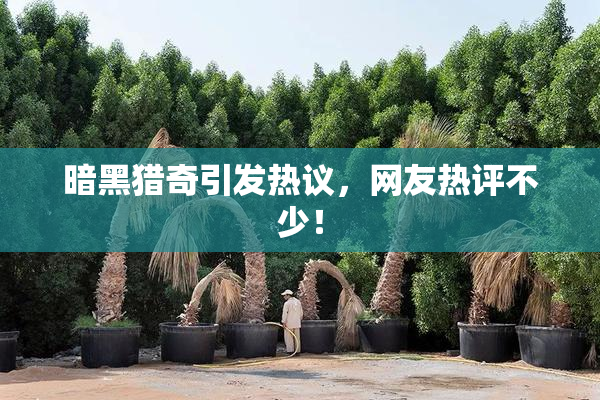 暗黑猎奇引发热议，网友热评不少！