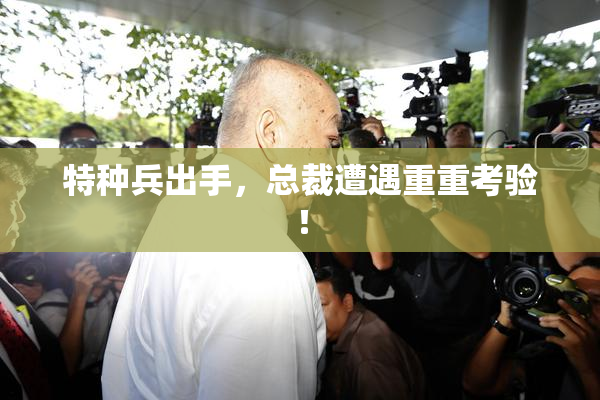 特种兵出手，总裁遭遇重重考验！