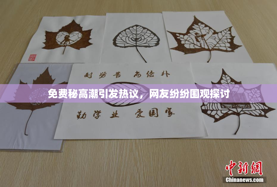 免费秘高潮引发热议，网友纷纷围观探讨