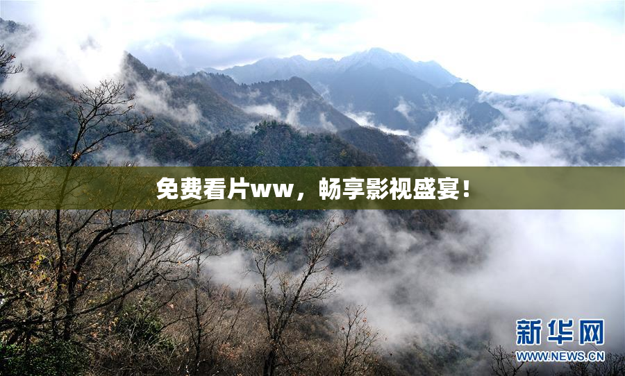 免费看片ww，畅享影视盛宴！