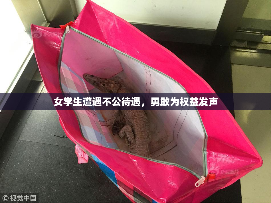 女学生遭遇不公待遇，勇敢为权益发声