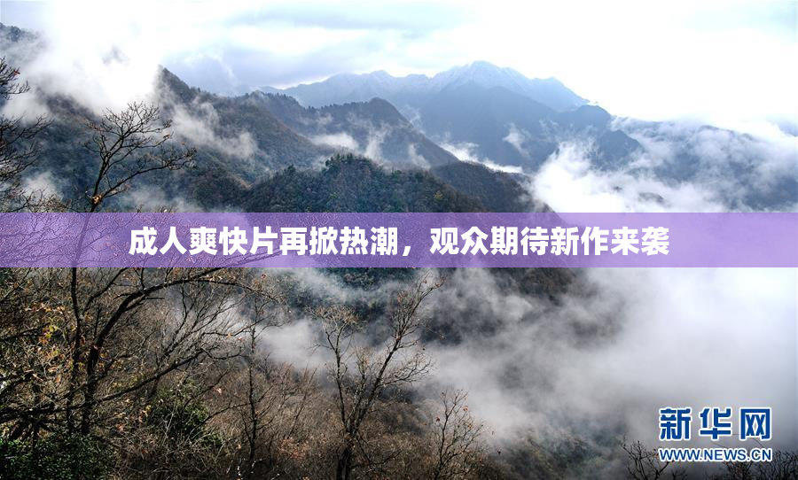 成人爽快片再掀热潮，观众期待新作来袭