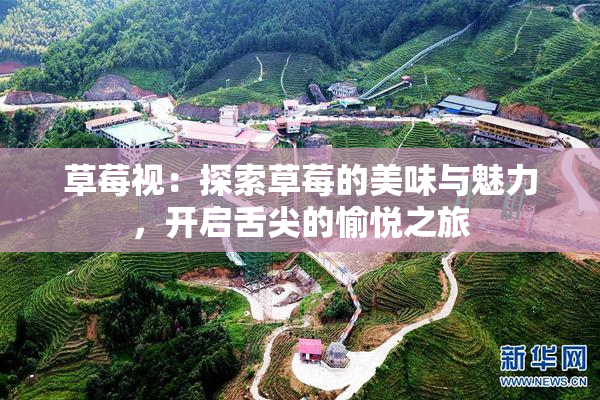 草莓视：探索草莓的美味与魅力，开启舌尖的愉悦之旅