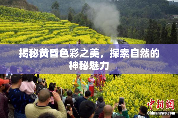 揭秘黄昏色彩之美，探索自然的神秘魅力