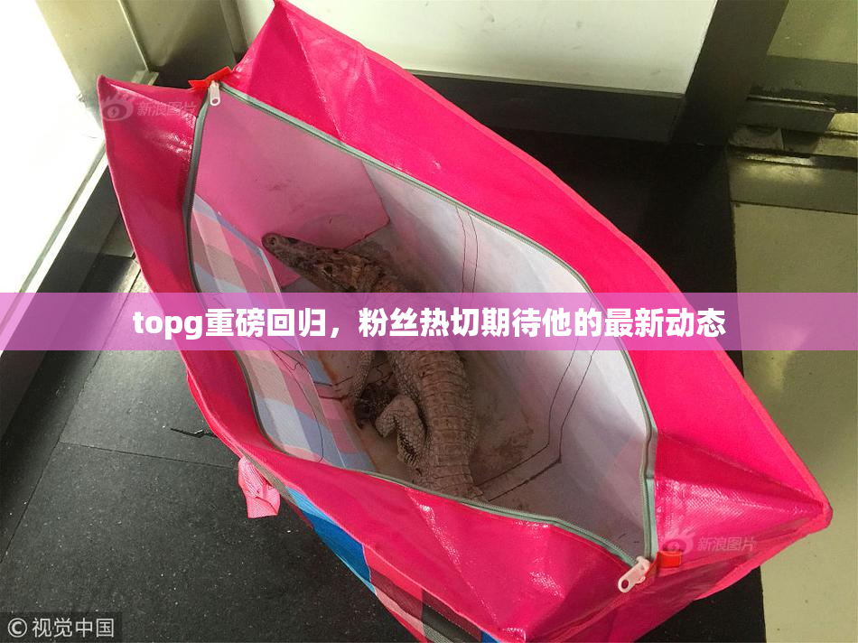topg重磅回归，粉丝热切期待他的最新动态