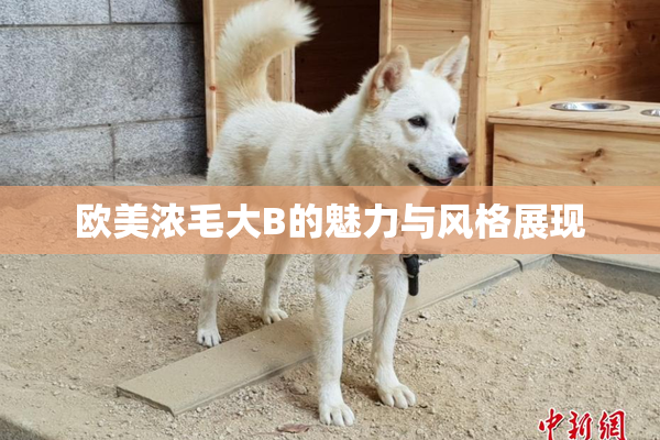 欧美浓毛大B的魅力与风格展现