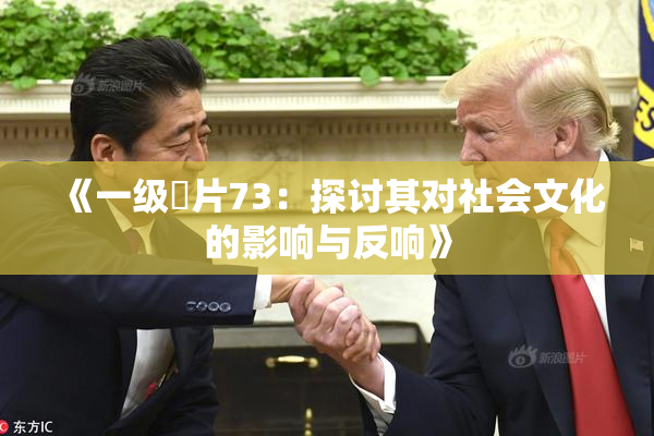 《一级婬片73：探讨其对社会文化的影响与反响》