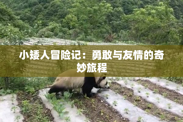 小矮人冒险记：勇敢与友情的奇妙旅程