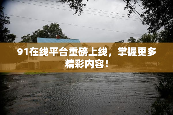 91在线平台重磅上线，掌握更多精彩内容！