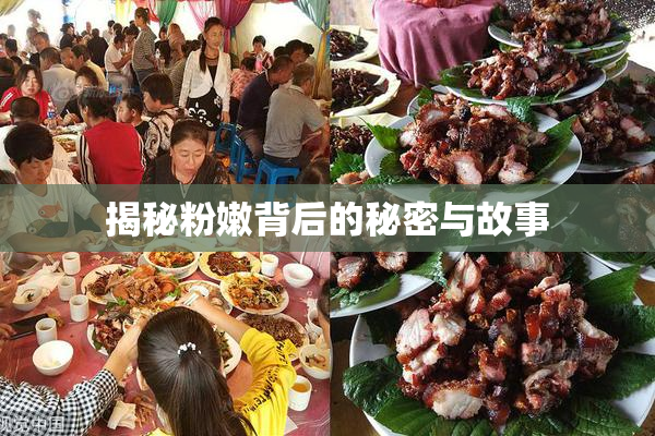揭秘粉嫩背后的秘密与故事