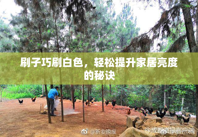 刷子巧刷白色，轻松提升家居亮度的秘诀