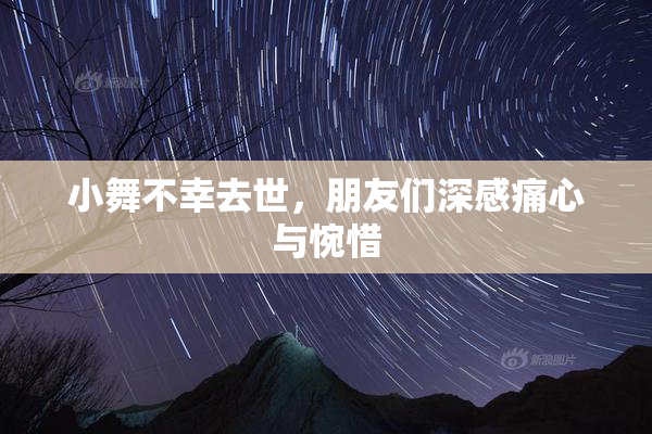 小舞不幸去世，朋友们深感痛心与惋惜