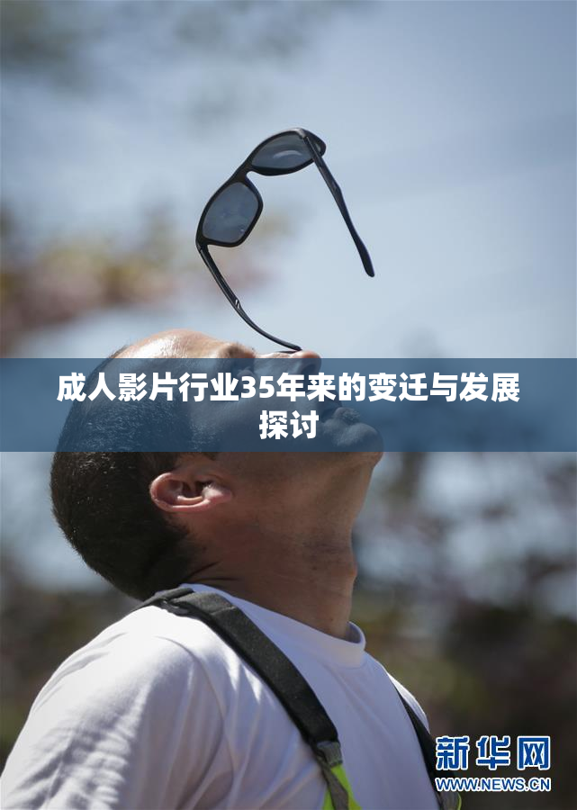 成人影片行业35年来的变迁与发展探讨