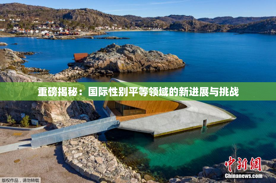 重磅揭秘：国际性别平等领域的新进展与挑战