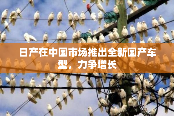 日产在中国市场推出全新国产车型，力争增长