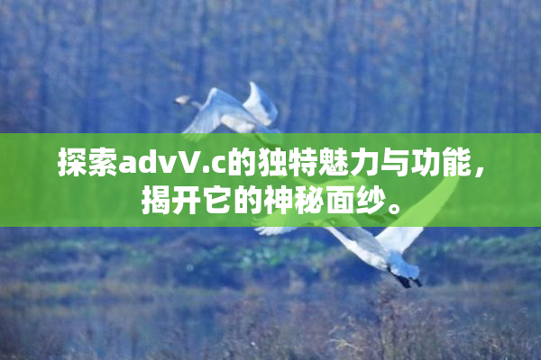 探索advV.c的独特魅力与功能，揭开它的神秘面纱。